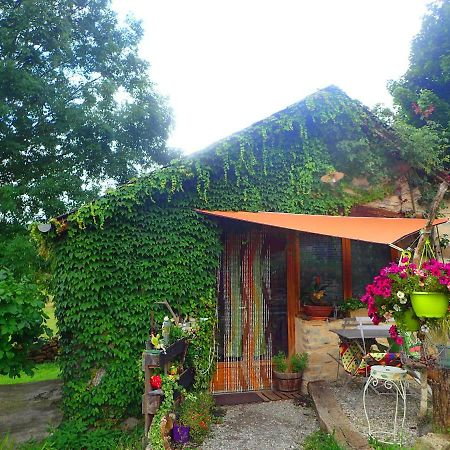 Mas De La Boheme - L'Hermet Saint-Léons Esterno foto